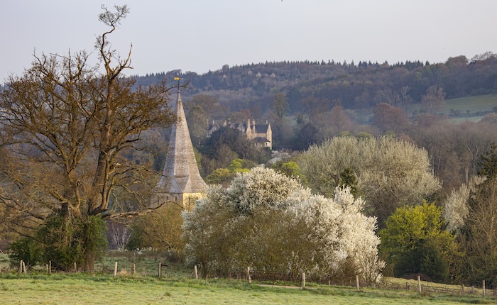 Shere Church